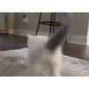 Милые котята 🐱 43