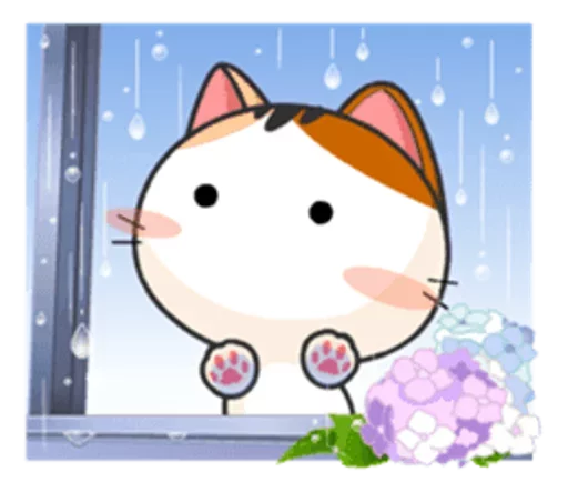 Goojil Meow 42
