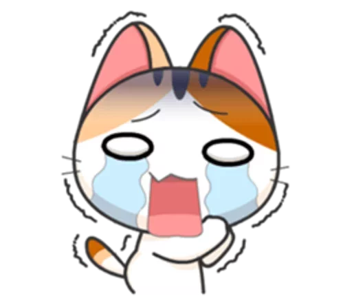 Goojil Meow 31
