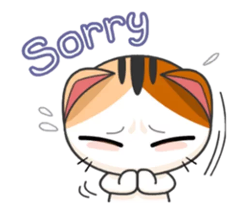 Goojil Meow 49