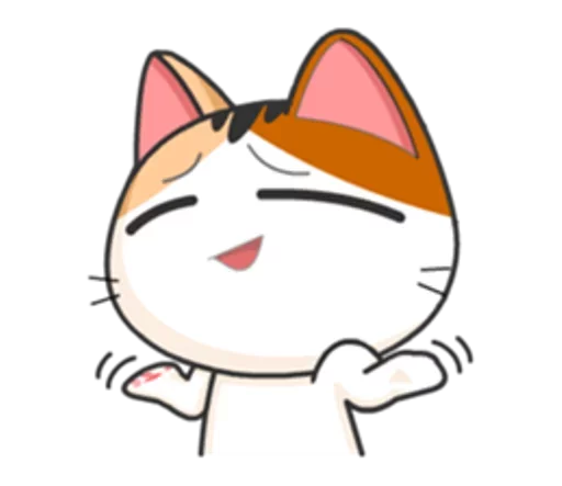 Goojil Meow 43