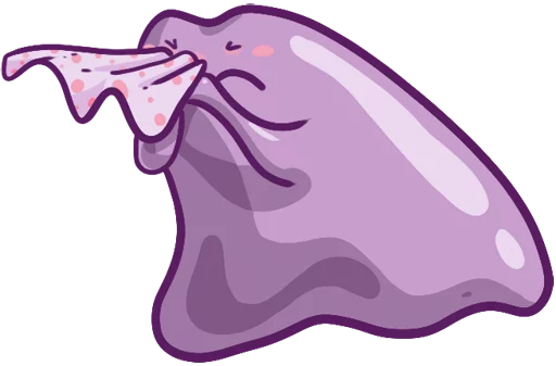 Ditto 35