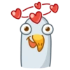 Pidgeons 8