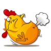 Hot Chicken 🐔 5