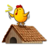 Hot Chicken 🐔 29