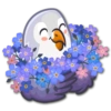 Lovebirds 8