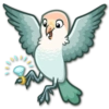 Lovebirds 9