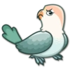 Lovebirds 21