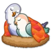 Lovebirds 16