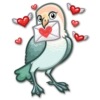 Lovebirds 14