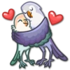 Lovebirds 10