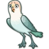Lovebirds 23