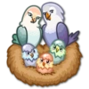 Lovebirds 20