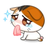 Goojil Meow 27