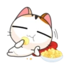 Goojil Meow 26