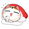 Goojil Meow 30