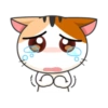 Goojil Meow 24