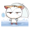 Goojil Meow 14