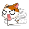 Goojil Meow 5
