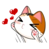 Goojil Meow 15