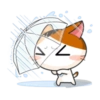 Goojil Meow 18