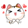 Goojil Meow 29