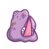 Ditto 29
