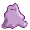 Ditto 27
