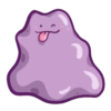 Ditto 22
