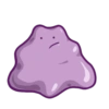 Ditto 19