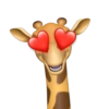 Memoji Stickers iOS 13 12