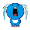 Cipul / 17