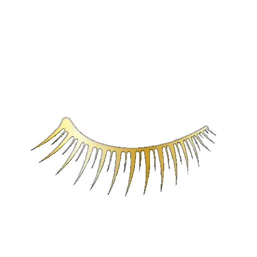 Lashes Beauty 🖤 •(Mov)• 10