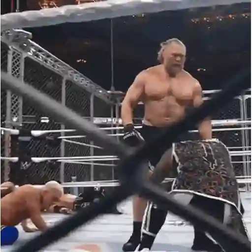 🔥 Brock Lesnar 💪🏼 4