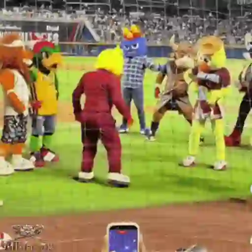 Mascotas Pollo y Pia Algodoneros Unión Laguna⚾֍2🇲🇽Movi 30