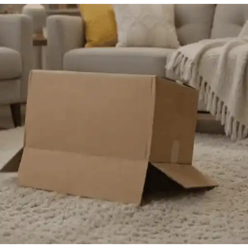 😼 Gatos e Caixas 📦 3