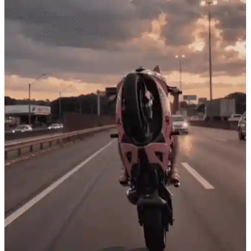 Moto Pinky 🧸🇲🇽 23