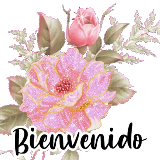 VARIOS DÍAS 11