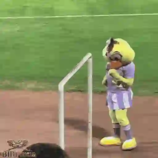 Mascotas Pollo y Pia Algodoneros Unión Laguna⚾֍2🇲🇽Movi 3