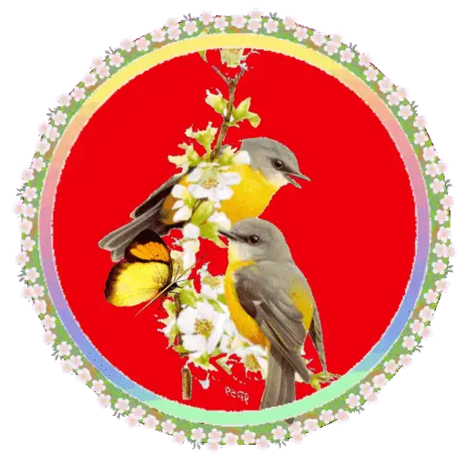 PAJAROS 🦜🦉 30