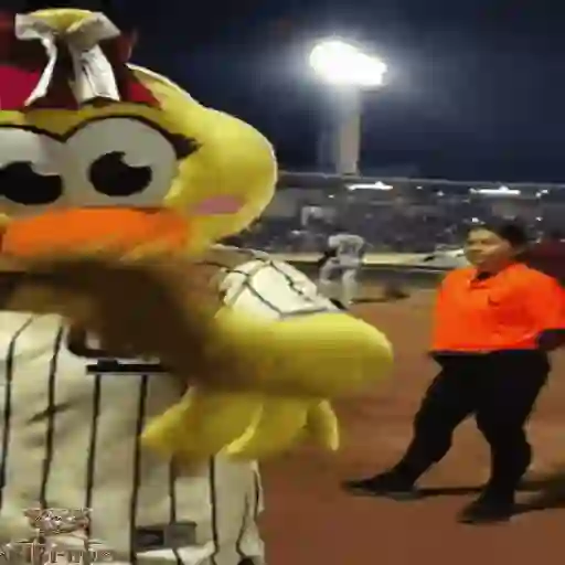 Mascotas Pollo y Pia Algodoneros Unión Laguna⚾֍2🇲🇽Movi 7