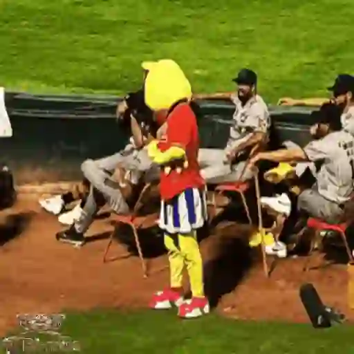 Mascotas Pollo y Pia Algodoneros Unión Laguna⚾֍2🇲🇽Movi 15