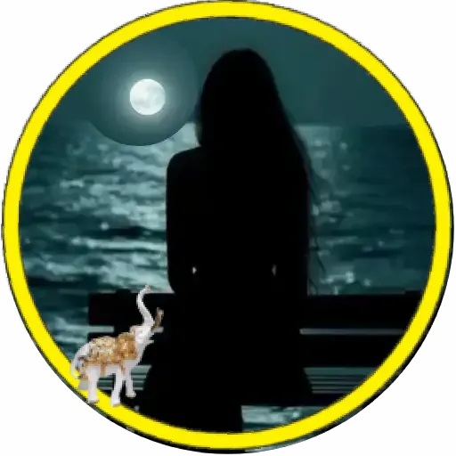 Luna🌙💞2🇵🇪Movi 16