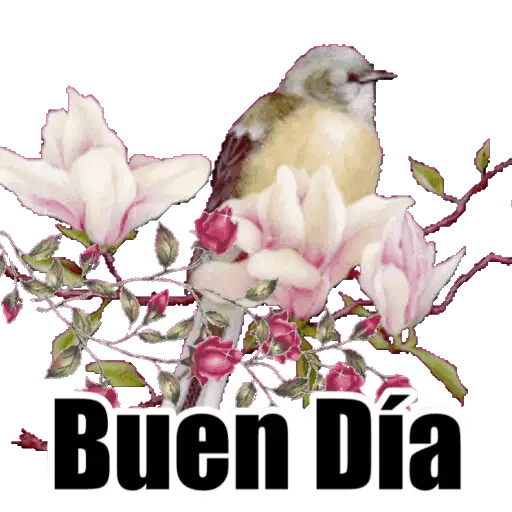 VARIOS DÍAS 19