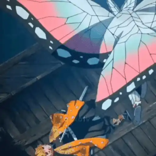 Animé 18