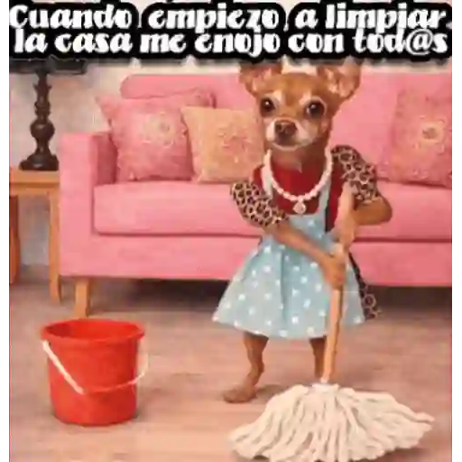Mix 20 🧸🇲🇽 7