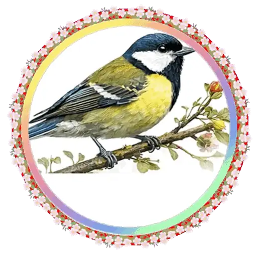 PAJAROS 🦜🦉 24