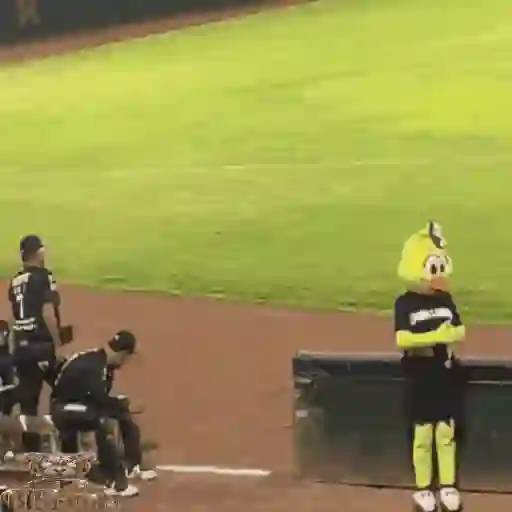 Mascotas Pollo y Pia Algodoneros Unión Laguna⚾֍2🇲🇽Movi 27