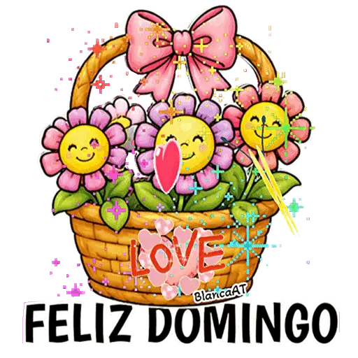 VARIOS DÍAS 7