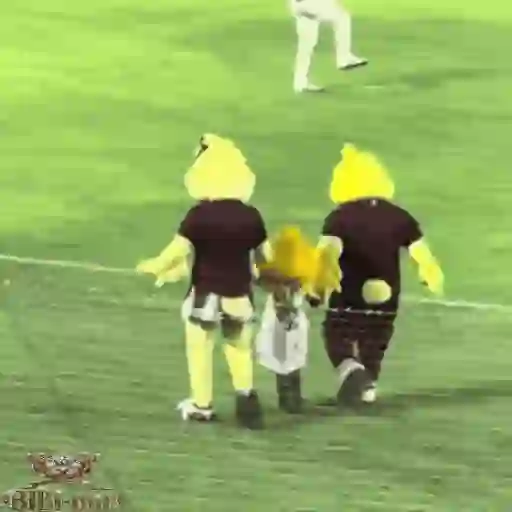 Mascotas Pollo y Pia Algodoneros Unión Laguna⚾֍2🇲🇽Movi 25